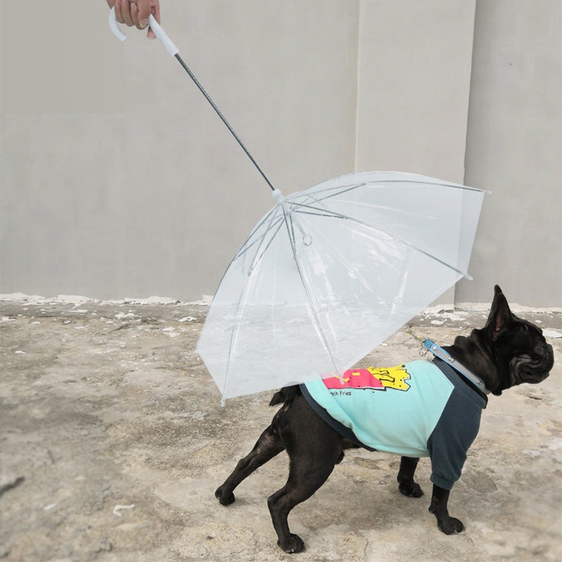 Pet supplies popular pet umbrellas, teddy small dog walking dog umbrellas with leash